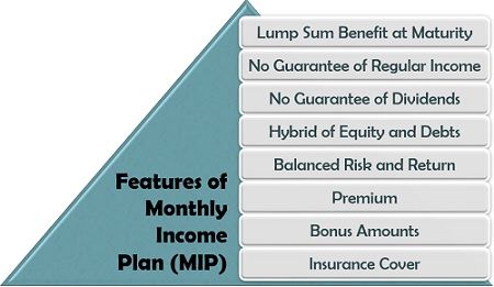 月收入计划（MIP）的功能