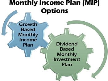 每月收入计划（MIP）选项
