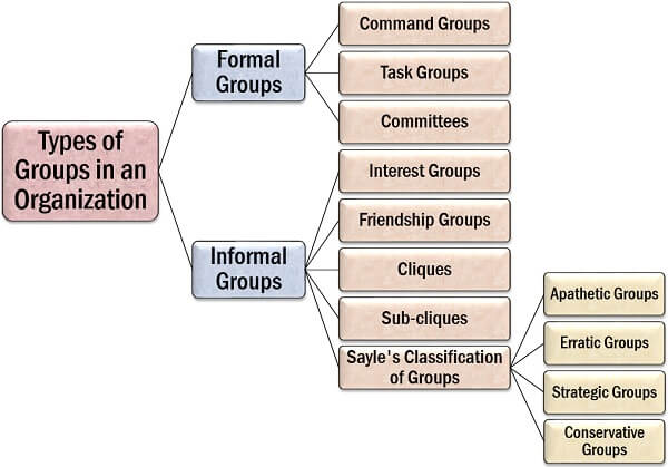 组织中的组的类型