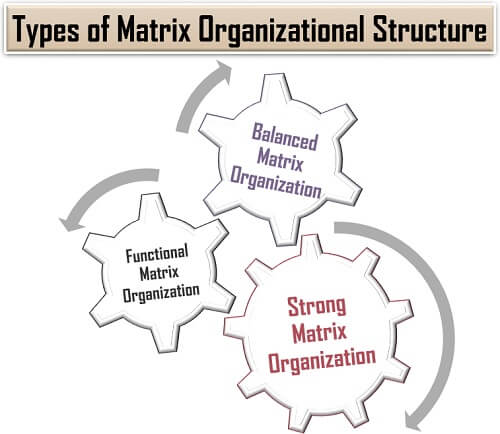 矩阵组织结构的类型