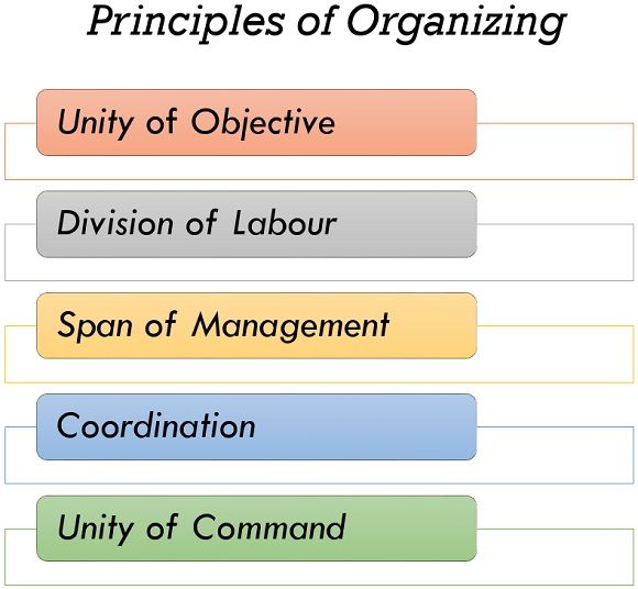 组织的原则